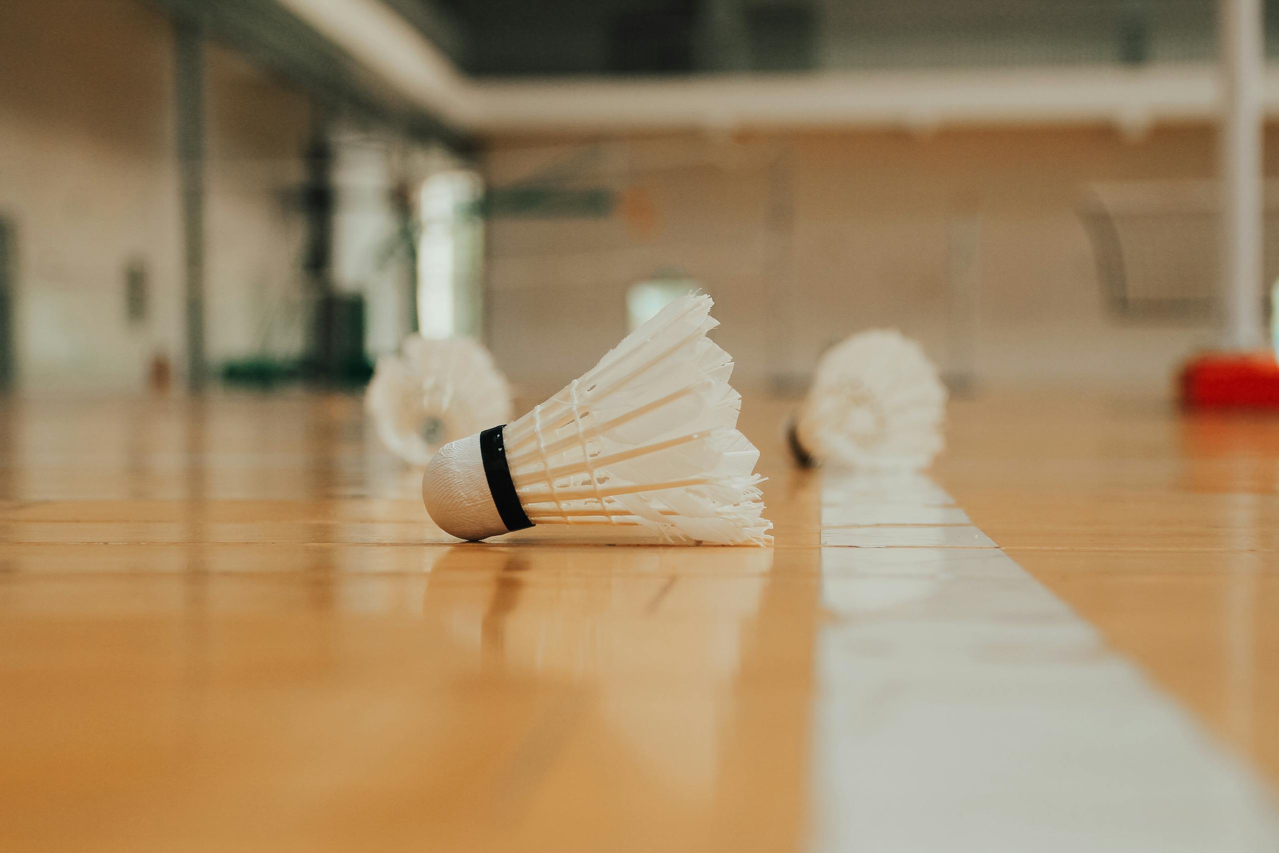 Photography taken at ground level of plastic shuttlecocks hardwood floor with white line marking